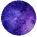 wolfiea18293