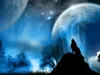 Wolf_Girl Wolf_Girl