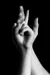 krissy_sisk krissy_sisk