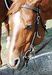 Stacy8912 Stacy8912