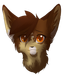 foxyladyjet foxyladyjet