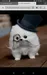 Rainbowkitty74