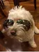 michelle_not_michellie