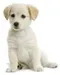 Samantha2414 Samantha2414