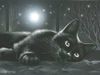 SecretarySlyCat1 SecretarySlyCat1