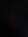 XsisMoonlight