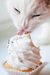 Cupcake_Kitty Cupcake_Kitty