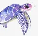Galaxy.Turtle