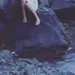 xxchild0fm0nstersxx xxchild0fm0nstersxx
