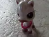 Lpsloverwatermelonsyay