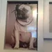 Amelia._xx Amelia._xx