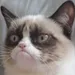 Da_Grumpy Da_Grumpy
