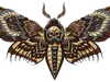 primebo