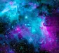 PurplePanda_50 PurplePanda_50