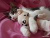 kittylova101 kittylova101