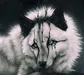 Aj.Music.R5.Wolf Aj.Music.R5.Wolf