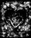Elysium_Fire