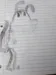 MlgBorisMangle12 MlgBorisMangle12