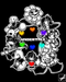 StarDash18 StarDash18