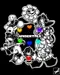 StarDash18 StarDash18