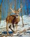 fuckdeer fuckdeer
