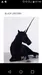 missy_misfit missy_misfit