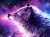 galaxyspirit123 galaxyspirit123
