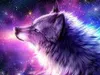 galaxyspirit123 galaxyspirit123