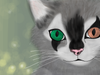 Kittyqueenxx Kittyqueenxx