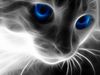 Ivypool162 Ivypool162
