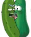 sansvore sansvore