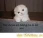 iluvtoreadbooks4eva