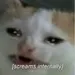 mutantcuti mutantcuti