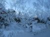 Crystal_Ice Crystal_Ice
