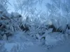 Crystal_Ice Crystal_Ice