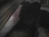 Crazypie360 Crazypie360