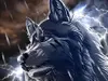 stormwolf09