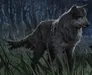 anglewolf anglewolf