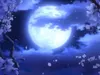 mizuki_moonchild mizuki_moonchild