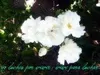 Aimee.Ceron