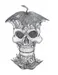 a_creepy_elf_with_poisonous_apples a_creepy_elf_with_poisonous_apples
