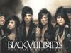 bvbpunk721 bvbpunk721