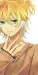Lenkagamine