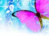 starbeauty