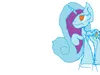 ShinieStar24