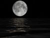 MidnightDreamer MidnightDreamer