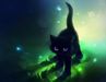NightmareKitty5925 NightmareKitty5925