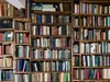 Novel_lover