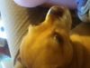 Nixielover123 Nixielover123