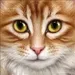 Rainwhisker720 Rainwhisker720